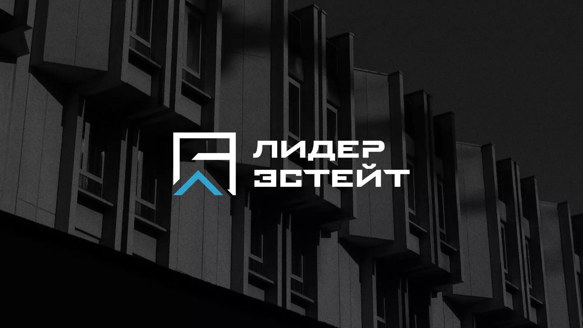 Разработка логотипа агентства недвижимости «Лидер Эстейт» в Азове